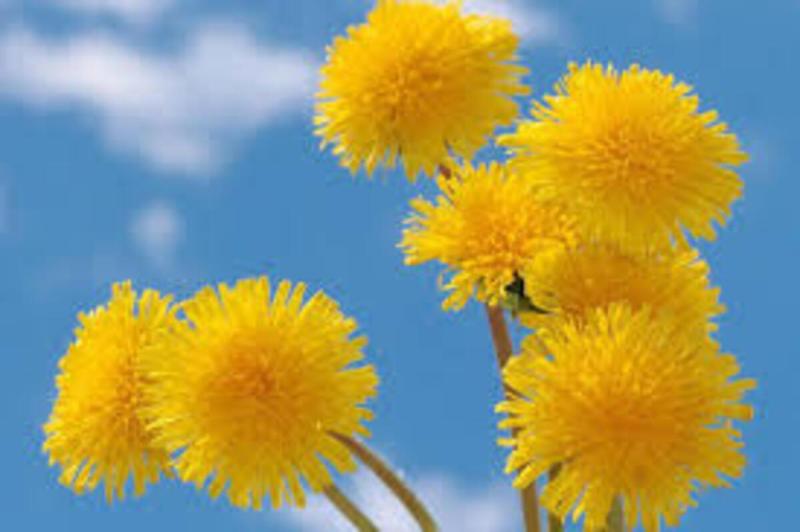 Finding Entry Level Jobs to Break into the Tech Industry